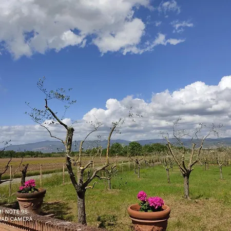 Villa Delle Querce Cortona